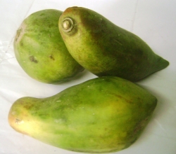 Green Papayas